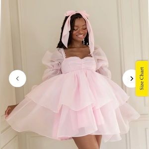 SELKIE The Moonlight Dress in Ballerina 
Size Small